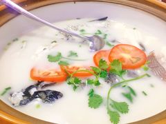 -全乐鱼馆·淳牌有机鱼直营店