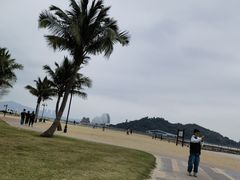 -野狸岛