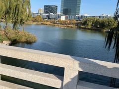 -大兴滨河森林公园