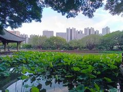 -光明港公园
