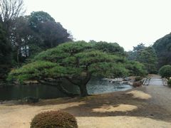 -京都御所