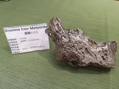 -志强陨石馆(双季花艺店)