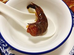 -金砂阿洲鱼册店
