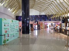 -金逸影城(武汉人信汇IMAX店)