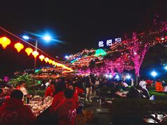-枇杷园食为鲜火锅(南山店)