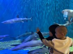 -华夏文旅海洋公园