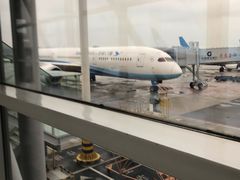 -厦门高崎国际机场-T3航站楼