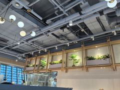 -翡翠拉面小笼包Crystal Jade(上海浦东国际机场T1店)