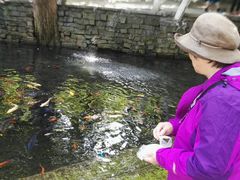 -水磨沟公园