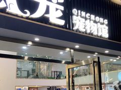 -钦宠·猫咪售卖·洗护·寄养(东圃旗舰店)