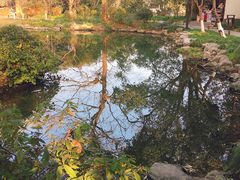 -西湖外事游船(花港观鱼码头)