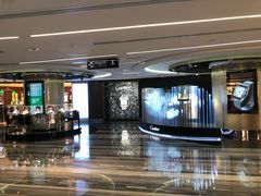 -DFS迪斐世(香港广东道店)