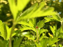 -回龙观体育文化公园