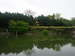 -嘉定紫藤园