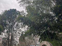 -西安青龙寺遗址景区