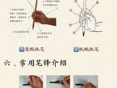 -阿妮亚少儿美术书法(望京店)