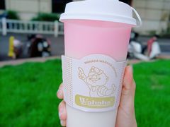 -娃哈哈·奶茶(武林店)