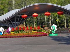 -东平国家森林公园