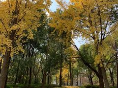 -中国浦东干部学院