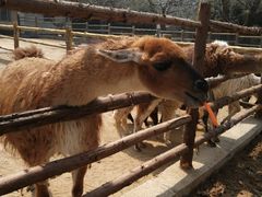 -西安秦岭野生动物园