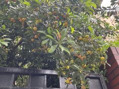 -老余杭面馆