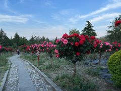 -崇圣寺三塔文化旅游区