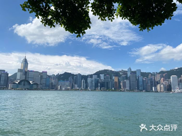 维多利亚港图片