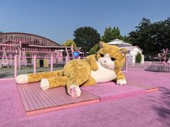 -渔岛海洋度假区