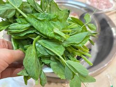-海关荤豆花(洋河一路店)