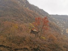 -龙庆峡风景区