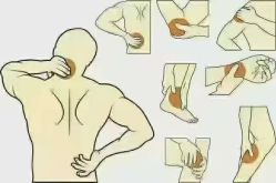 -香薇妮丝·定制减肥·身材管理
