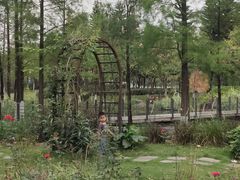 -映月湖公园