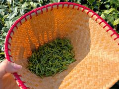 -香芙茗茶楼(梅家坞店)
