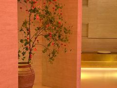 -舒小悦·舒养SPA·古法推拿(光环中心店)