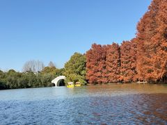 -上海海湾国家森林公园