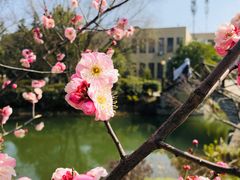 -安徽工业大学(秀山校区)