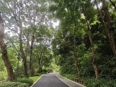 -云溪植物园