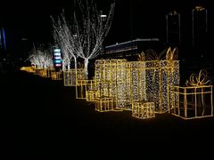 -陈露国际冰上中心(天津嘉里汇店)