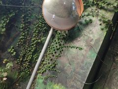 -重庆彩云湖湿地公园