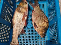 -烟水渔庄餐厅(西溪湿地店)