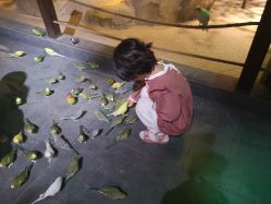 点击看大图 -酷嗒动物文化乐园(cutezoo西溪乐天城店)