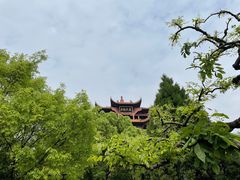 -黄鹤楼公园(黄鹤楼)