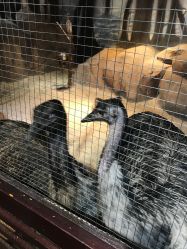 -酷嗒动物文化乐园(cutezoo西溪乐天城店)