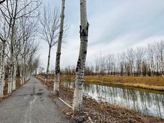 -东郊湿地公园