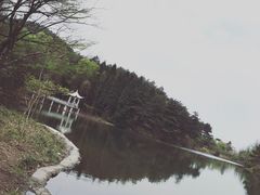 -四明山国家森林公园