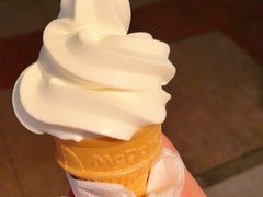 -麦当劳(鲁迅公园店)