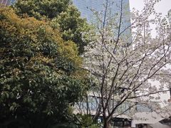 -美罗城