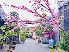 -阿细汉菜(本地盐帮菜名店)