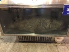 -御唐府海珊瑚主题餐厅