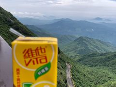 -大围山国家森林公园